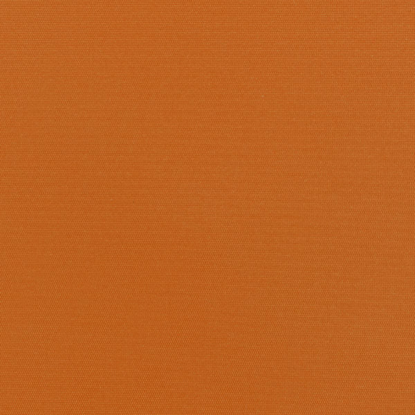 Nassimi Moxie 54" PVC Coated Polyester Fabric